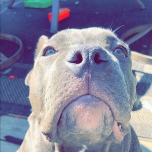 Meet your Posher, Lj